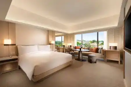 Regent Singapore (SG Clean) - 35
