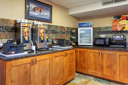 Comfort Inn at Thousand Hills - 28