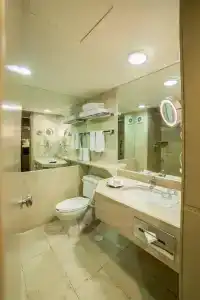 Holiday Inn Guadalajara Expo Plaza Del Sol, An Ihg - 53