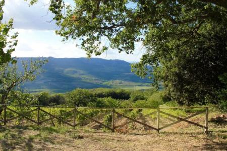 Poggio Al Vento - 47