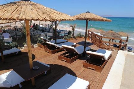 Diogenis Blue Palace - 24