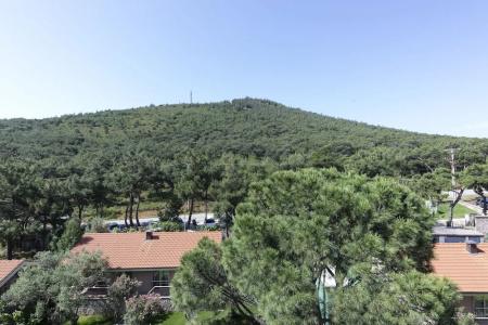 d Resort Murat Reis Ayvalık - 52