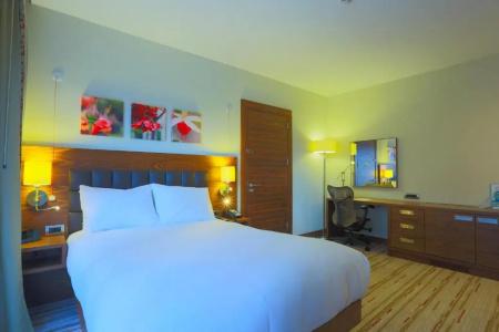 Hilton Garden Inn Eskisehir - 36