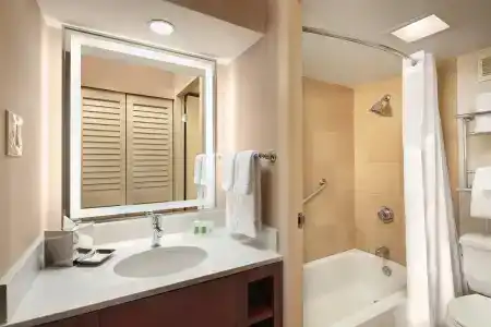 Holiday Inn Austin -Town Lake, An Ihg - 18