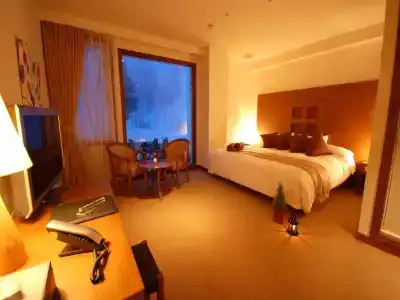 Sierra Resort Yuzawa - 4