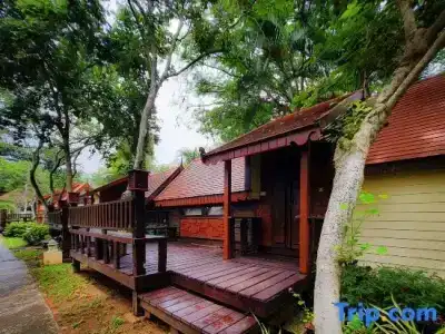 Baan Thong Ching - 62