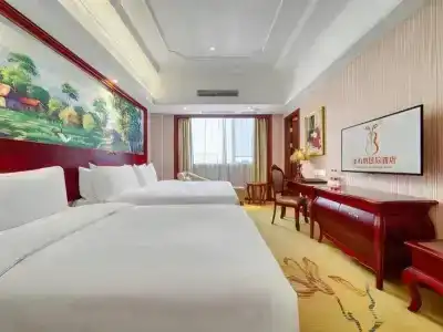 Vienna International Shanghai International Tourism and Resorts Zone - 5