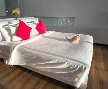 The Houben - Sha Extra Plus - 202