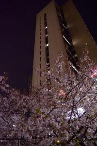 Tokyo Central Youth Hostel - 40