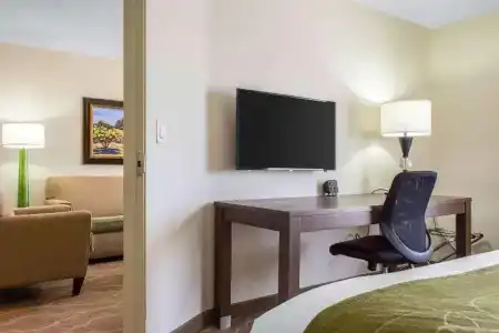 Comfort Suites at Tucson Mall - 45