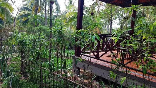 Phu Quoc Eco Beach Resort - 63