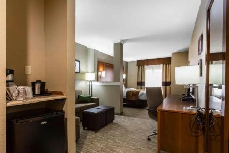 Comfort Suites - University - 56