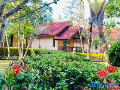 Kaibae Hut Resort - 91