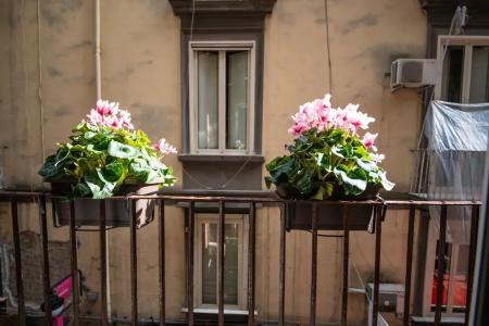 b&b Napoli Time - 56