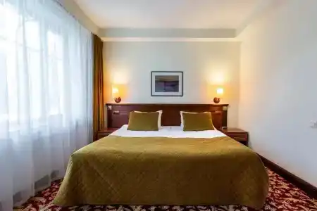 Violeta - 1