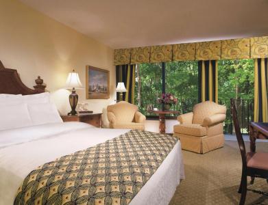 Holiday Inn Regency, An Ihg - 37