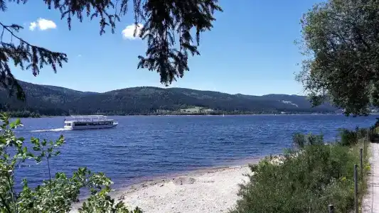 Hochschwarzwald-Hof - 15