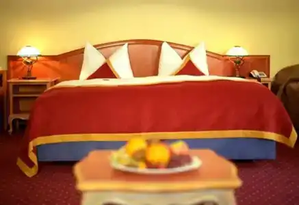 Luitpoldpark-Hotel - 56