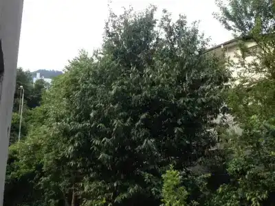 Mari Guest House - 10