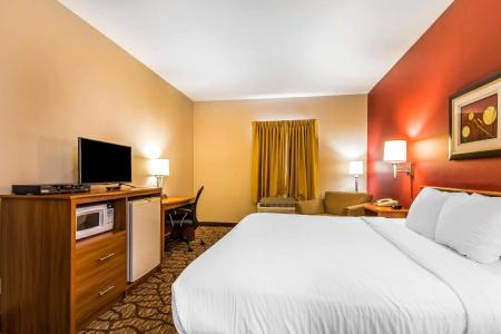 Quality Inn & Suites Chesterfield Village - 17
