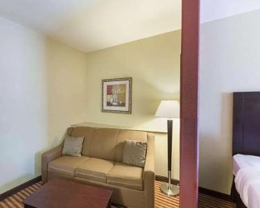 Comfort Suites Medical Center Near Six Flags - 39