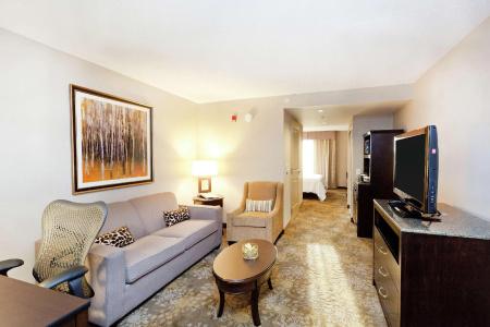 Hilton Garden Inn Toronto/Brampton - 66