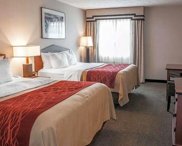 Comfort Inn Indianapolis South I-65 - 26