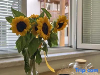 Motives Inn - 159
