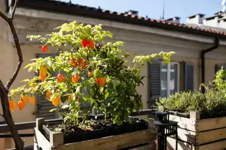 Ostello Bello - 10