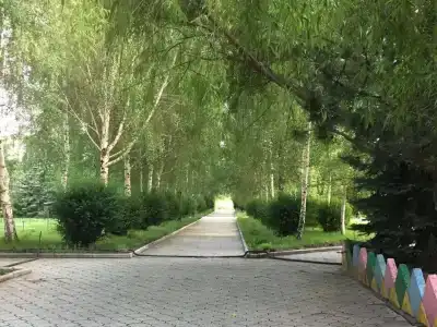 Тулпар - 20