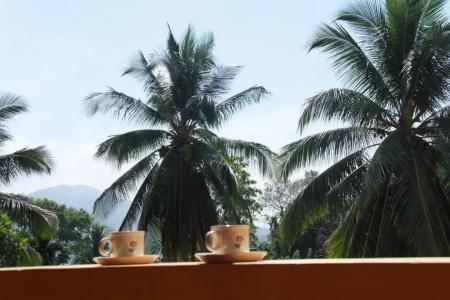 Anura Guest Inn - 39