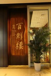 Shanshui S - 17