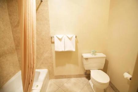 Royal Plaza Inn - 37