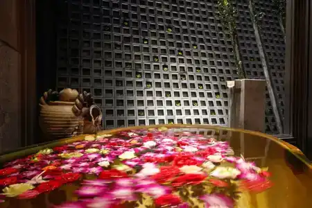 Yuraku Kinosaki Spa & Gardens - 17