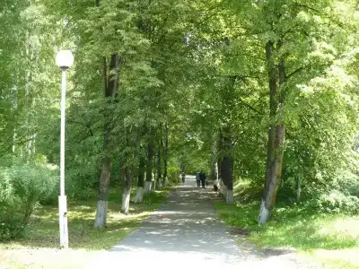Дальняя Дача - 4