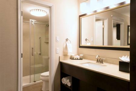 Embassy Suites - 7