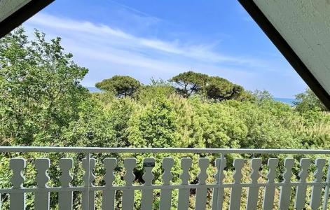 Pinetina Mare Baby Family - 59