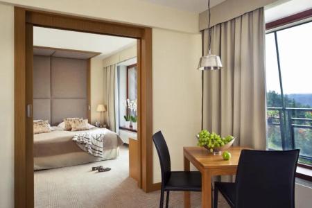 Spa Dr Irena Eris Krynica Zdrój - 46