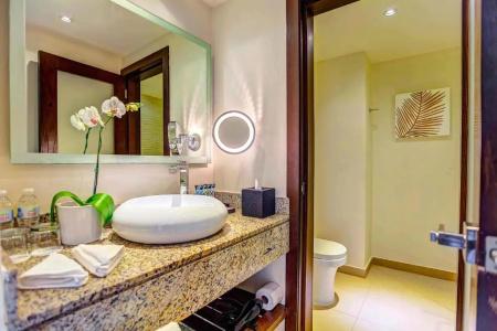 Hideaway at Royalton Punta Cana, An Autograph Collection All-Inclusive Resort & Casino, Adults Only - 48