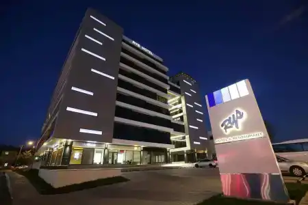 Rys - 25