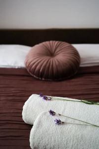 and Rooms Degra - 103