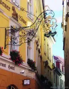 Goldener Löwe - 0
