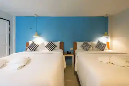 Sleep Whale Express - 48
