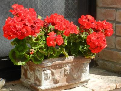 Agriturismo Montegonfoli - 47