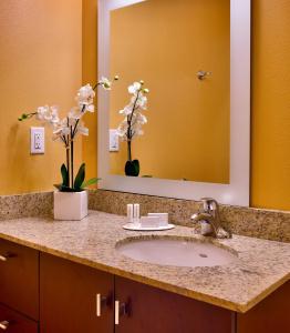 TownePlace Suites by Marriott - 7
