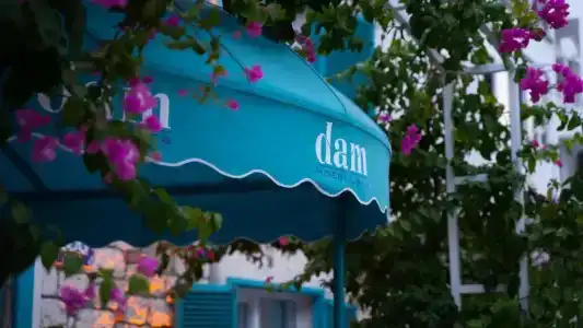 DAM Lara - 62