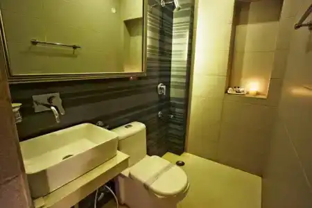 Ajanta - 45