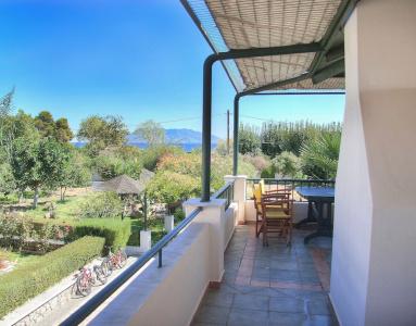 Sunny Garden - 6
