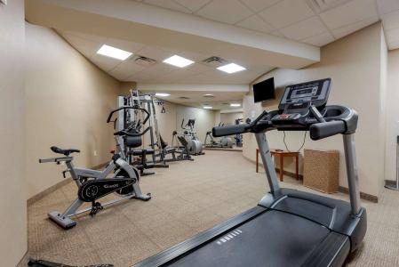 Comfort Inn The Pointe - 19