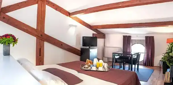 Hôtel Cloitre Saint Louis Avignon - 35